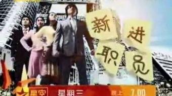 新进职员在线观看,职场新人初体验全记录
