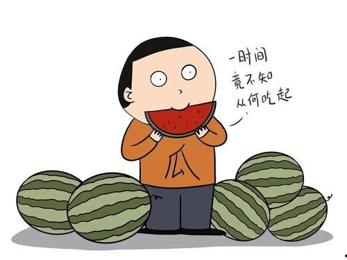 吃瓜你我也,吃瓜群众视角下的娱乐圈风云录