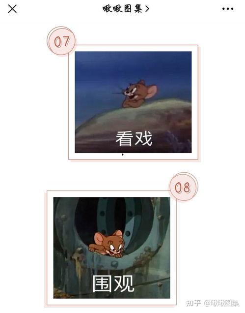 吃瓜看戏动态图,笑看风云变幻