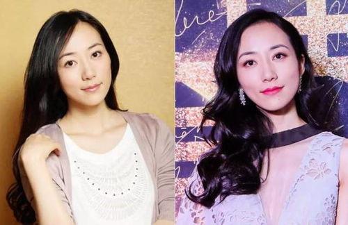 别人像女明星,揭秘那些令人惊艳的明星模仿者