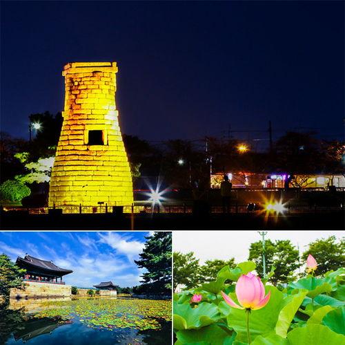 夜景明星人物素材图,揭秘夜景明星人物风采