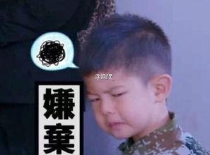 狂魔哥最新爆料,娱乐圈最新爆料大揭秘！