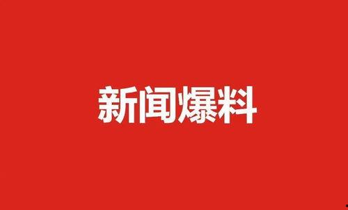 肇东最新爆料新闻报道网,揭秘事件背后惊人真相